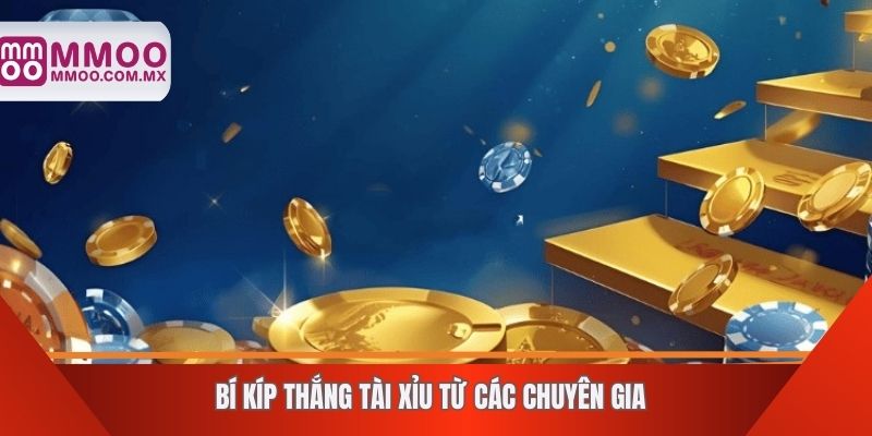 Bí kíp thắng tài xỉu từ các chuyên gia
